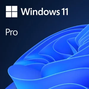 Microsoft Windows Pro 11 DSP/OEM Hrvatski, DVD