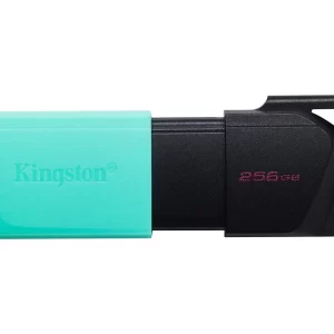 Kingston DataTraveler Exodia M 256GB, USB stick
