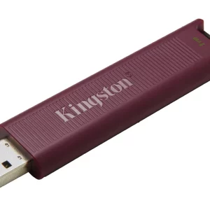 Kingston DataTraveler Max Type-A 1TB, USB stick
