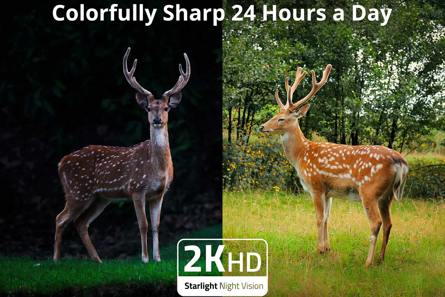 Anker Eufy security 4G Starlight, vanjska bežična kamera - Slika 3