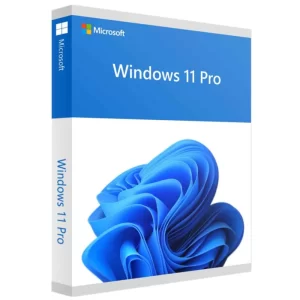 Windows 11 Professional, OEM DVD, FQC-10528