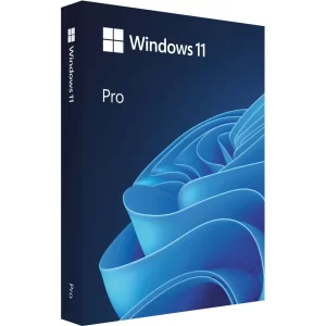 Windows 11 Professional, USB retail, HAV-00163