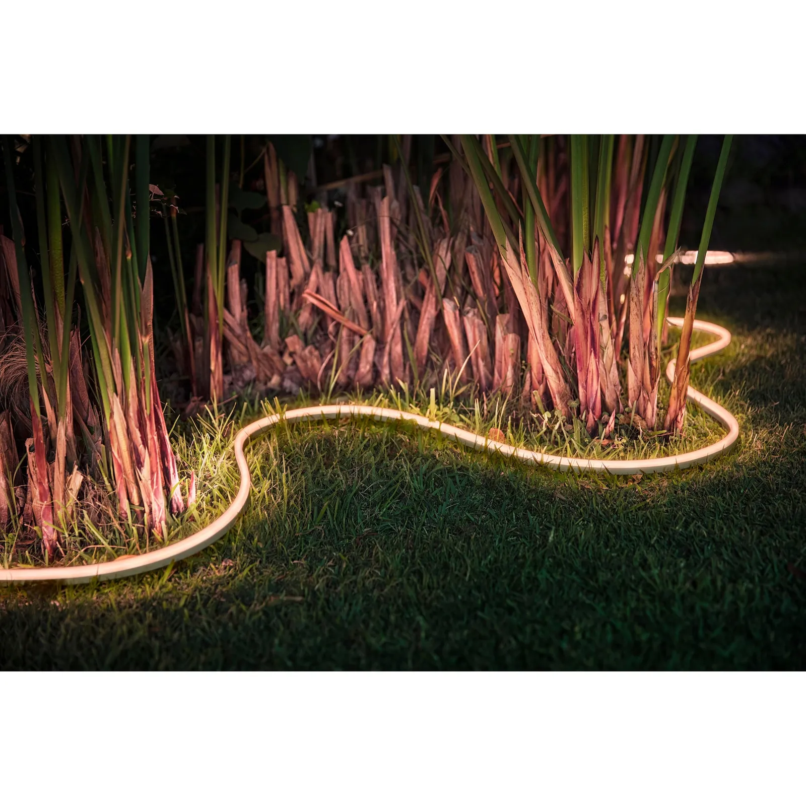 Philips Hue Lightstrip Outdoor 5m White & Col. Amb. 1600lm Bluetooth - Slika 5